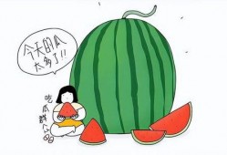 吃瓜看猛料,吃瓜看猛料，揭秘明星幕后故事