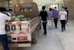 西宁吃瓜新闻事件,一场网络舆论的风波与反思