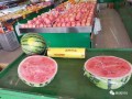 吃瓜群众水果店,品味夏日鲜果，尽享健康生活