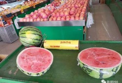 吃瓜群众水果店,品味夏日鲜果，尽享健康生活