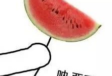 吃瓜群众西瓜真甜,揭秘西瓜真甜的秘密