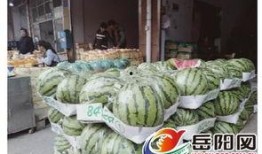 吃瓜群众水果店,品味夏日鲜果，尽享健康生活