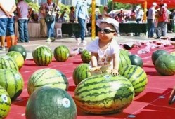 每日大赛吃瓜入口 在线,轻松掌握热门赛事精彩瞬间