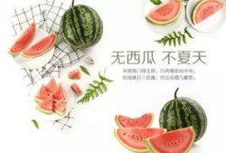 到处翻手机吃瓜,全民“吃瓜”背后的社交焦虑与信息泛滥