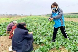 上海自愿者送菜吃瓜,送菜送瓜，温暖战“疫”时刻