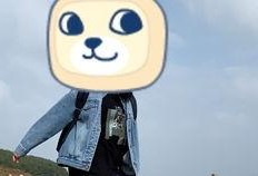 大熊吃瓜日记林青平,林青平的麻辣点评与人生感悟