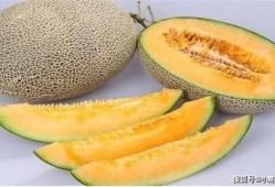 分手后梦见吃哈密瓜,哈密瓜的甜蜜与苦涩