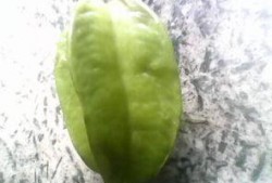 蒲瓜可以吃皮,意想不到的美食新发现