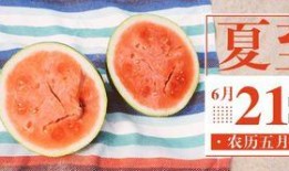 广东吃瓜公众号,揭秘粤菜背后的那些“秘密”与“传说”