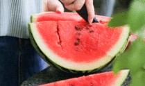 衢州杭州吃瓜,探寻浙江美食的独特魅力