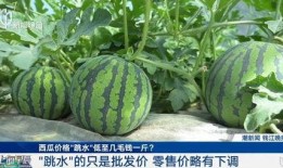 上海巴斯夫吃瓜事件,一场意外引发的舆论风波
