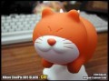 fly转会cat吃瓜,Fly转会Cat，吃瓜群众热议不断