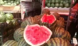 吃瓜群众水果店,品味夏日鲜果，尽享健康生活