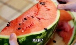 被在线吃瓜,揭秘“在线吃瓜”现象背后的故事