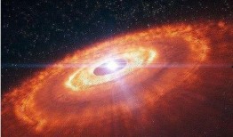 泗水恒星吃瓜,揭秘瓜界传奇，探寻瓜农的匠心独运