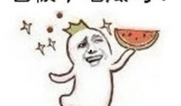 吃瓜群众通话视频,一场趣味横生的视频对话大揭秘