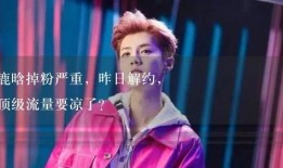 娱乐吃瓜解说,揭秘明星幕后那些事儿