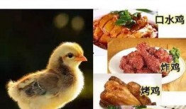 吃瓜的代价,揭秘“吃瓜”背后的代价与影响