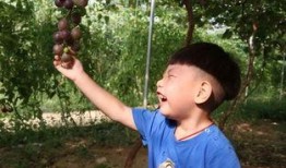 马芳吃瓜,揭秘娱乐圈背后的那些事儿