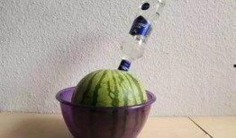 瓶子吃瓜最新,揭秘娱乐圈背后的秘密与真相