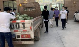 西宁吃瓜新闻事件,一场网络舆论的风波与反思