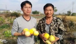 吃瓜群众要修行,从围观者到修行者的蜕变之旅