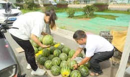 两次吃瓜,两次吃瓜背后的故事揭秘