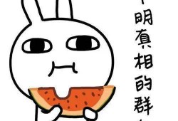 被在线吃瓜,揭秘“在线吃瓜”现象背后的故事