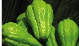 佛手瓜内核可以吃吗,可食用之谜揭晓