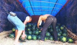 工地吃瓜朋友圈,揭秘工地里的那些趣事与温情