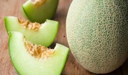 孩子吃白瓜哈密瓜,白瓜与哈密瓜的甜蜜邂逅