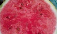 湖州医院吃瓜,揭秘背后真相与网络舆论风暴