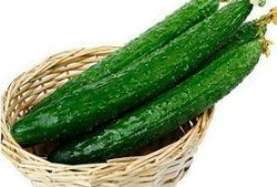 吃瓜没营养,揭秘“吃瓜没营养”背后的真相与反思