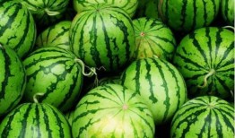 专业团队吃瓜,吃瓜背后的行业秘密与趣味解读