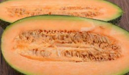 吃哈密瓜口腔溃疡,营养与不适的微妙平衡