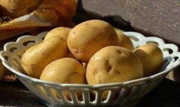 大远吃瓜土豆,揭秘网络红人的美食之旅