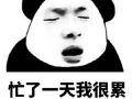 吃瓜吃得好累,揭秘娱乐圈幕后，揭秘吃瓜之苦与乐