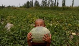 没睡的吃瓜,揭秘娱乐圈那些不为人知的秘密