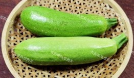 萝卜吃瓜网,揭秘网络世界的趣味与真相