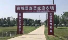 安徽界首吃瓜事件,一场网络热议背后的真相与反思