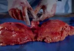 吃瓜解剖尸体,解剖尸体背后的真相与伦理探讨