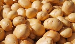 大远吃瓜土豆,揭秘网络红人的美食之旅