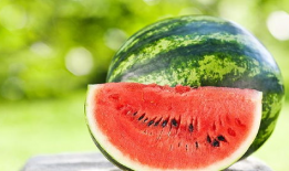 小圆瓜减肥可以吃吗,健康美味两不误