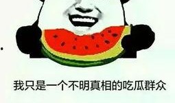 围观 吃瓜 打酱油,吃瓜群众与打酱油者的众生相