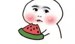 仙某人团子吃瓜,揭秘娱乐圈的甜蜜瓜田