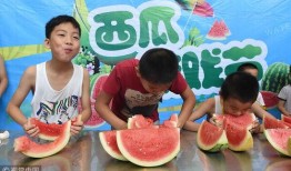 吃瓜游戏比赛,吃瓜游戏比赛巅峰对决