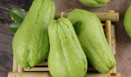 佛手瓜枝怎样吃,探索健康美味的烹饪新境界