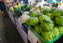 摆摊吃瓜视频,摆摊吃瓜，揭秘市井百态