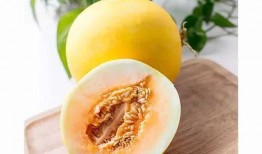 吃瓜还嫌瓜不甜下一句,品味生活，笑对人生