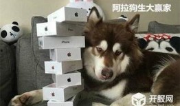 游戏吃瓜狗,揭秘游戏界的“瓜王”传奇